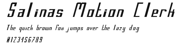 Salinas Motion Clerk Preview