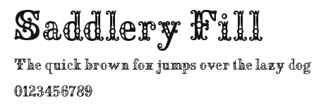 Saddlery Fill Preview