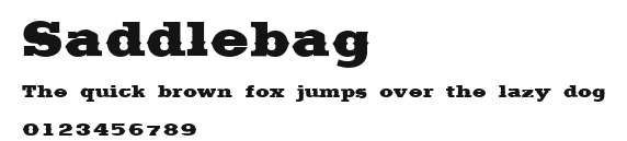 Saddlebag Preview