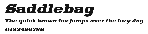 Saddlebag Preview