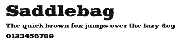 Saddlebag Preview
