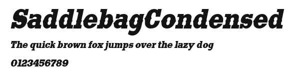 SaddlebagCondensed Preview