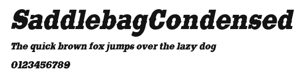 SaddlebagCondensed Preview