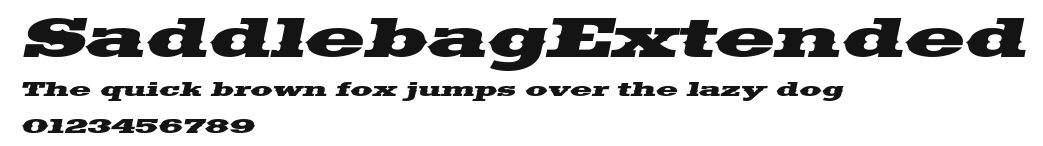 SaddlebagExtended Preview