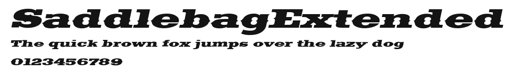 SaddlebagExtended Preview