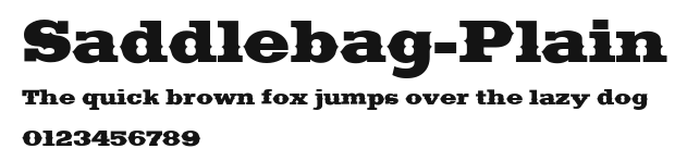 Saddlebag-Plain Preview