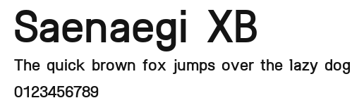 Saenaegi XB Preview