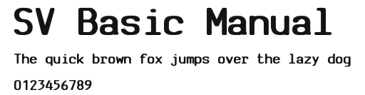 SV Basic Manual Preview