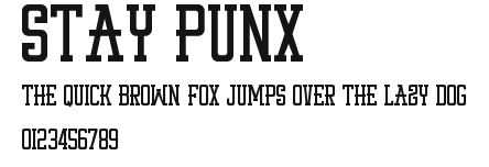 STAY PUNX Preview