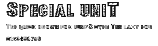 SPECIAL UNIT Preview