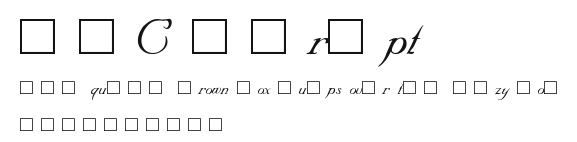 SNC Script Preview