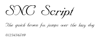 SNC Script Preview