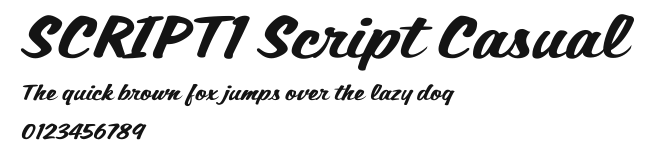 SCRIPT1 Script Casual Preview
