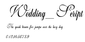 Wedding_Script Preview