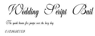 Wedding Script Bail Preview