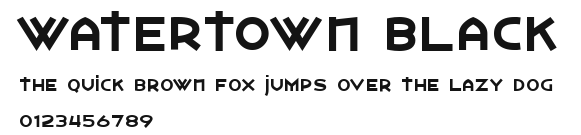 Watertown Black Preview