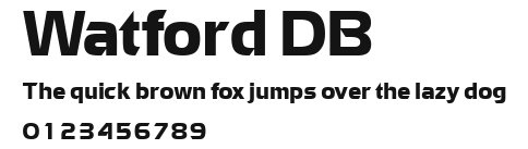 Watford DB Preview