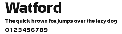 Watford Preview