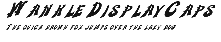 WankleDisplayCaps Preview