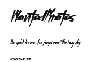 WantedPirates Preview