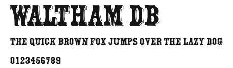Waltham DB Preview