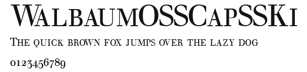 WalbaumOSSCapSSKi Preview