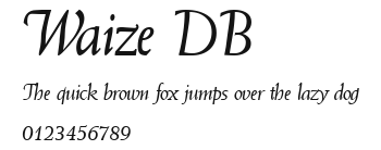 Waize DB Preview