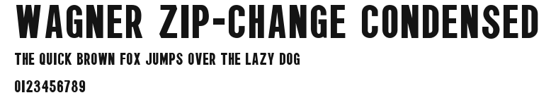 Wagner Zip-Change Condensed Preview