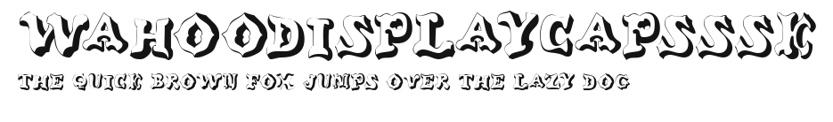 WahooDisplayCapsSSK Preview