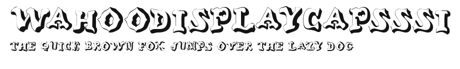 WahooDisplayCapsSSi Preview