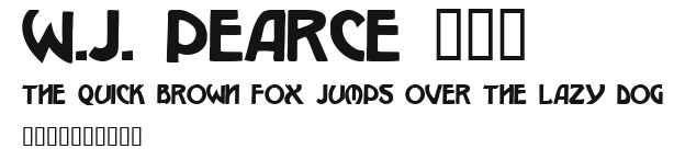 W.J. Pearce 213 Preview