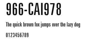 966-CAI978 Preview