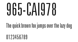 965-CAI978 Preview