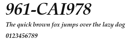 961-CAI978 Preview