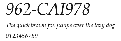 962-CAI978 Preview