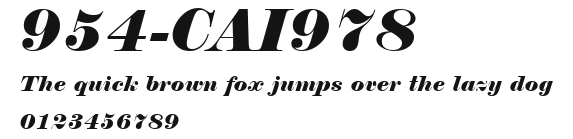 954-CAI978 Preview