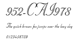 952-CAI978 Preview
