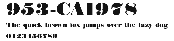 953-CAI978 Preview