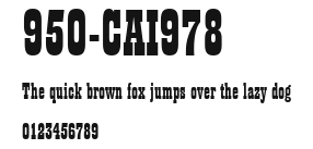 950-CAI978 Preview