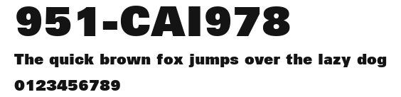951-CAI978 Preview