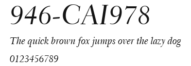 946-CAI978 Preview