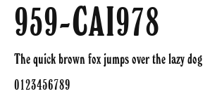 959-CAI978 Preview