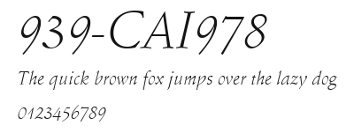 939-CAI978 Preview