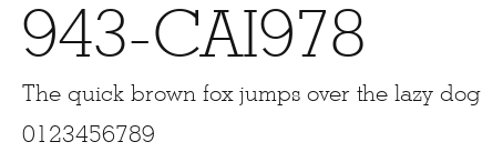943-CAI978 Preview