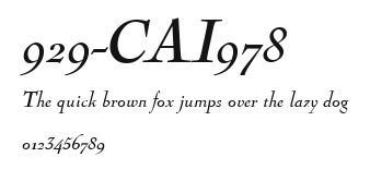 929-CAI978 Preview