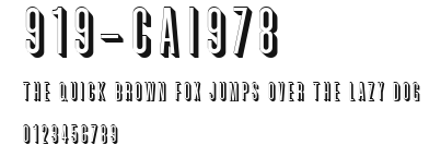 919-CAI978 Preview