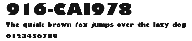 916-CAI978 Preview