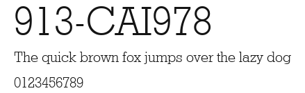 913-CAI978 Preview