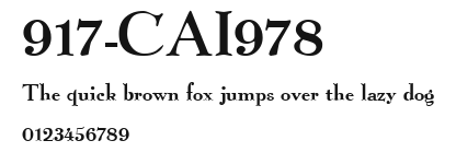 917-CAI978 Preview
