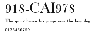 918-CAI978 Preview